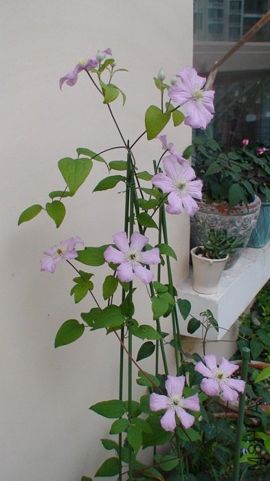 5-4�գ����Ѿ�����������ʱ���ˣ�8��л������ӡ�