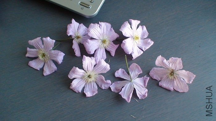 ��������µĲл��ɣ�