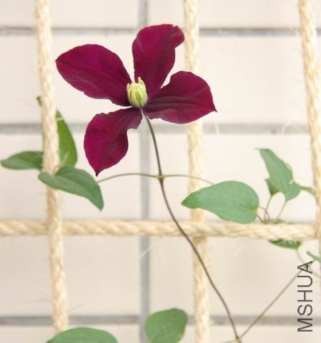 ������С ��Ƭ 185.jpg