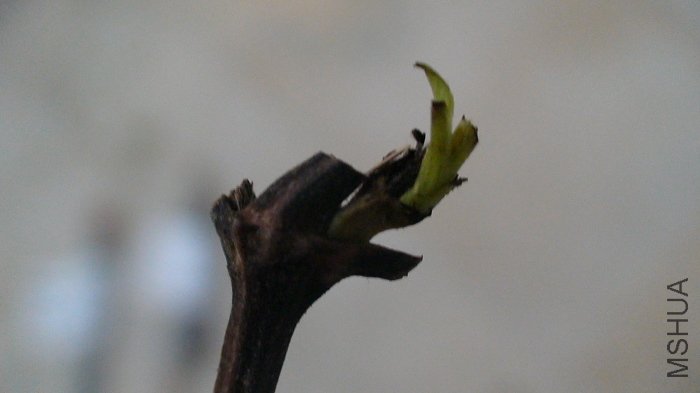 ѿͷ���ǲ�����.