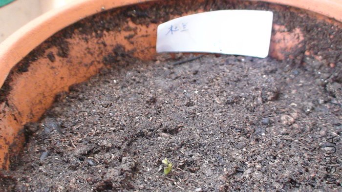 3-18��, ����ʱ����¶����ѿͷ.