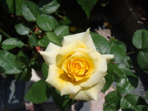 DSC02948.JPG