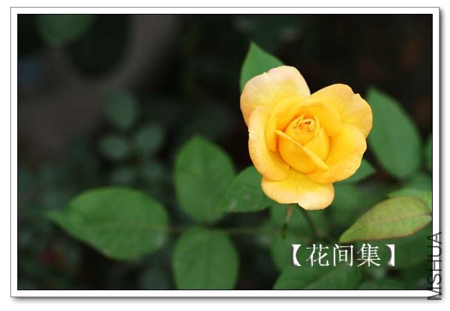 IMG_5648 ����.jpg