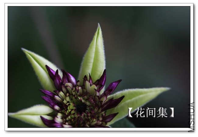 IMG_9187 ����.jpg