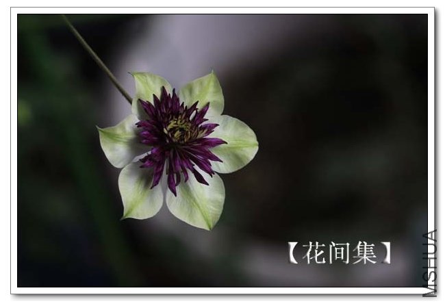 IMG_9177 ����.jpg