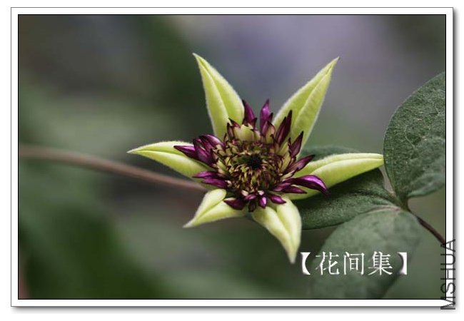 IMG_9180 ����.jpg