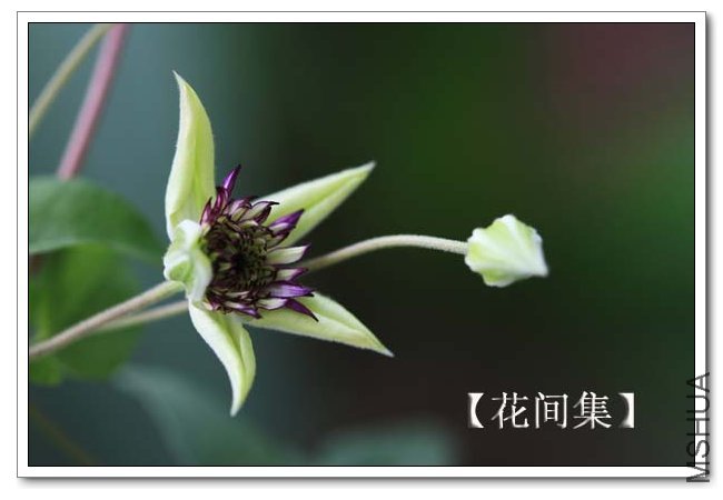 IMG_9190 ����.jpg