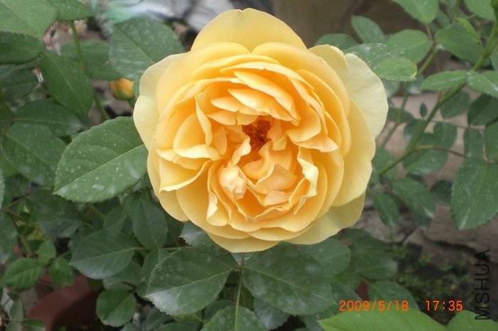 ���˾Ͳ���ô�ÿ���