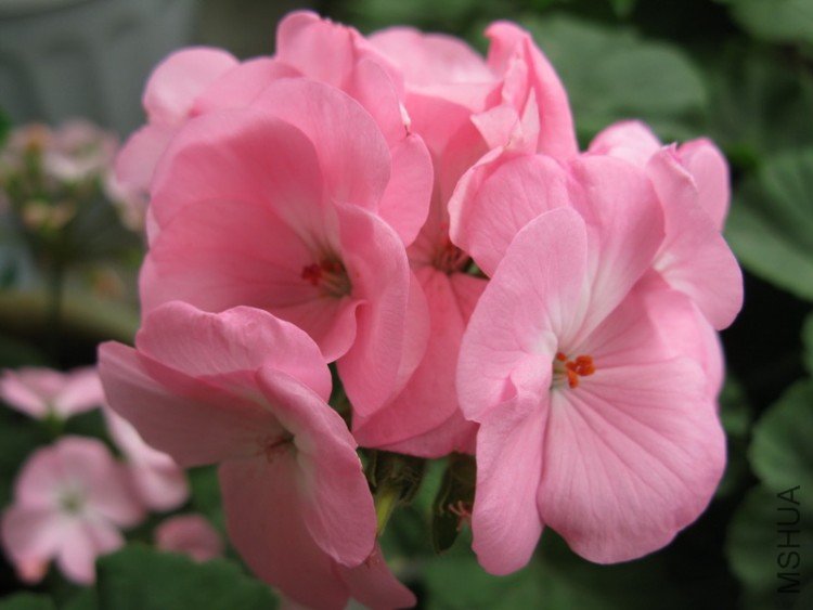 ��Ƭ 182_������С.jpg