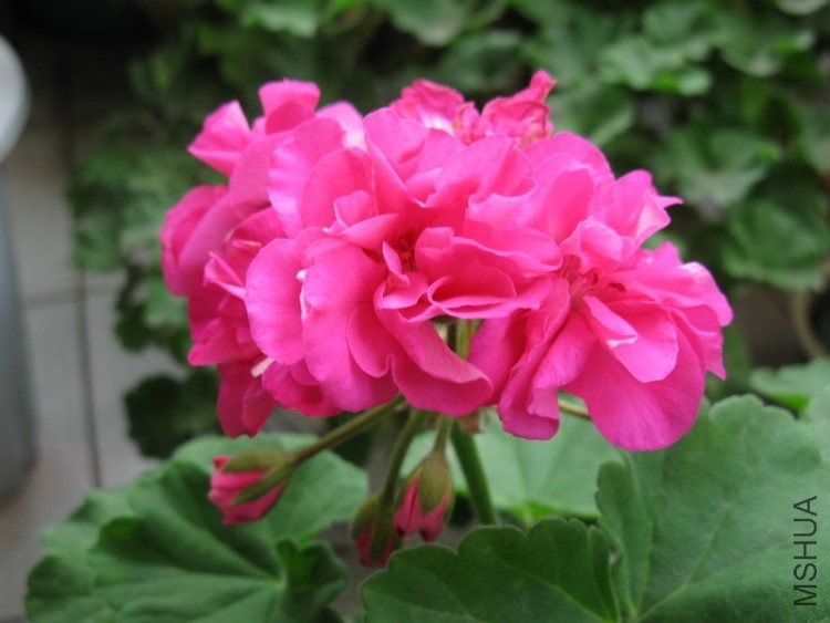 ��Ƭ 179_������С.jpg