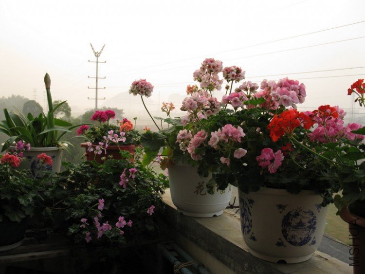 ��Ƭ 079_������С.jpg