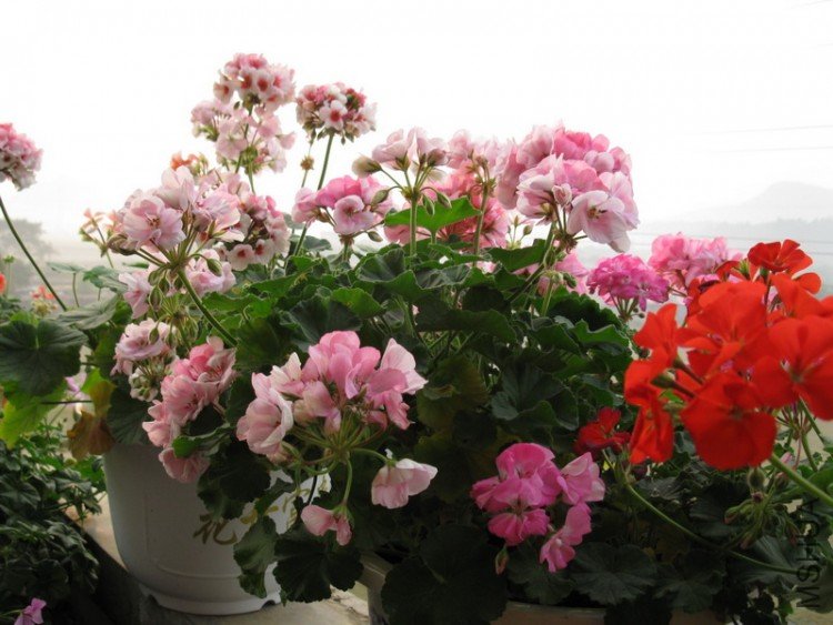 ��Ƭ 076_������С.jpg