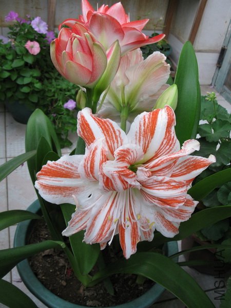 ��Ƭ 153_������С.jpg