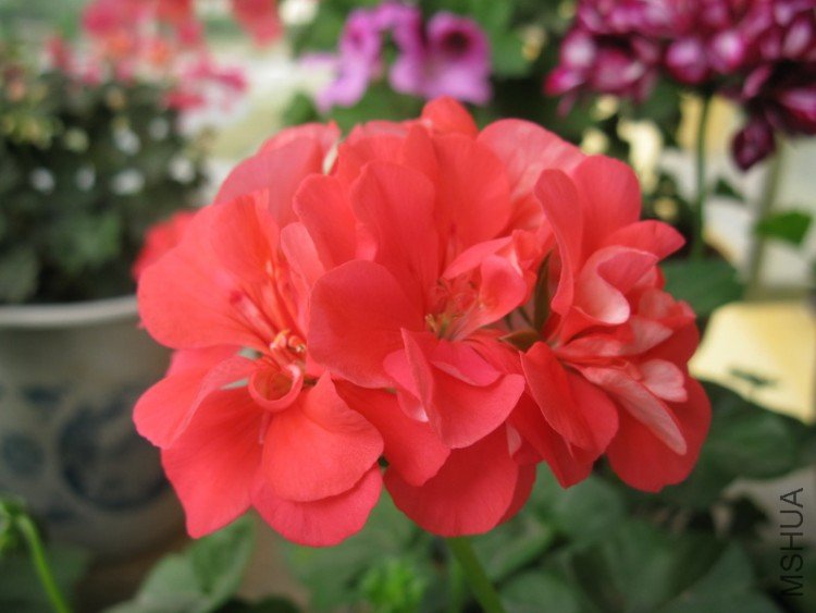 ��Ƭ 046_������С.jpg