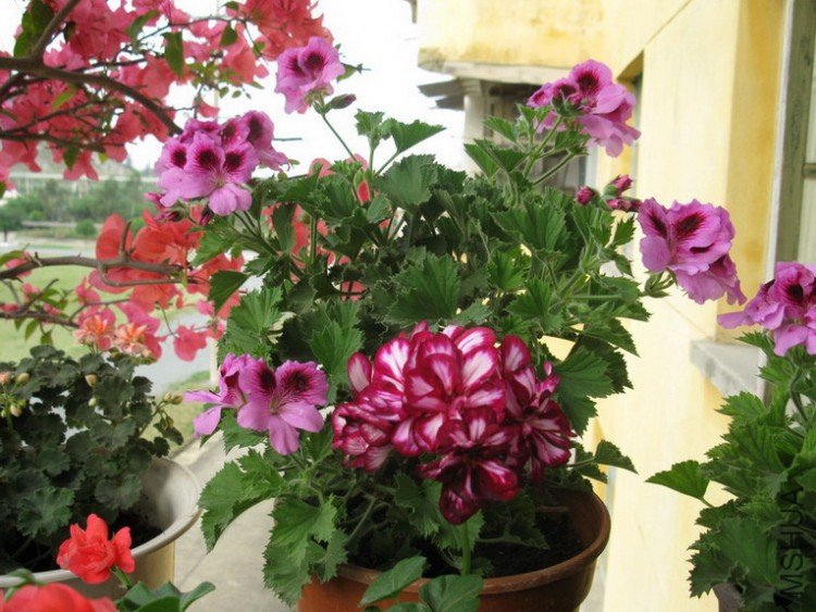 ��Ƭ 053_������С.jpg