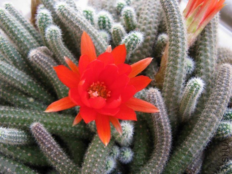 ������С ��Ƭ 005.jpg