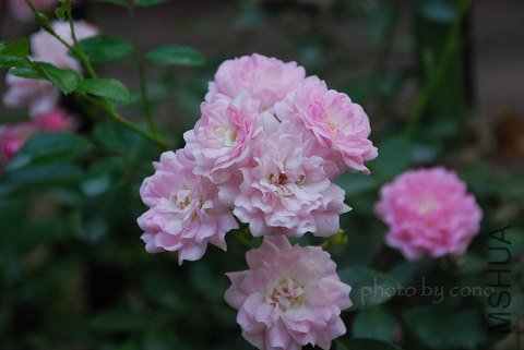 nEO_IMG_DSC_0465.jpg