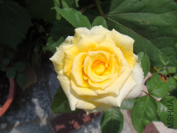 DSC02958.JPG