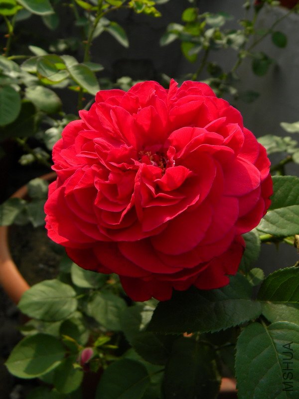 DSCN0190.jpg