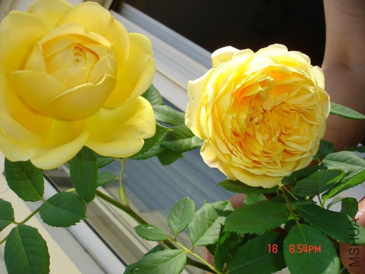 ��Ƭ09514 010.jpg