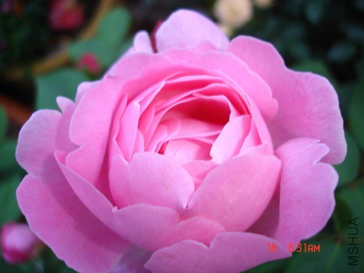 ��Ƭ09514 012.jpg