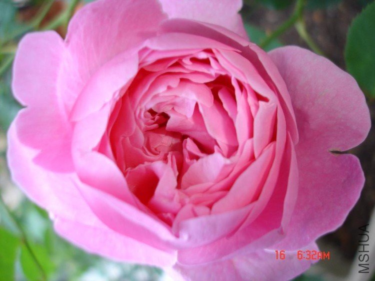 ��Ƭ09514 008.jpg