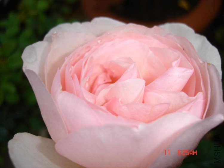 ��Ƭ09416 115.jpg