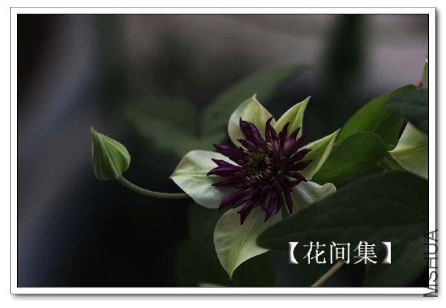 IMG_9533 ����.jpg