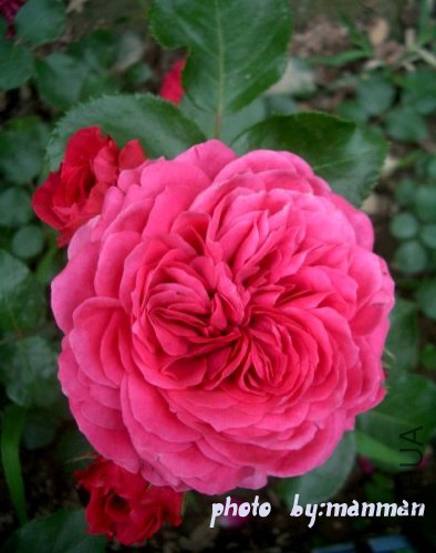 δ����2 ����.jpg