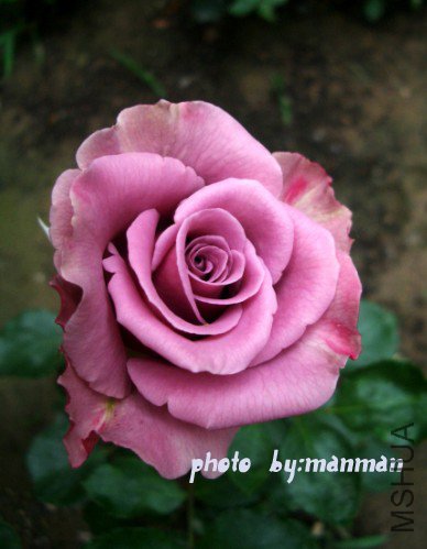 δ����1 ����.jpg