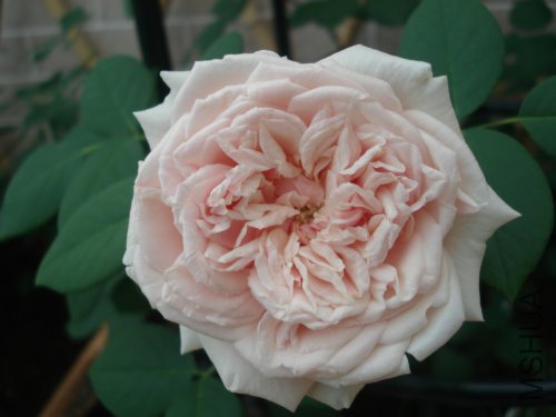 ȫ������������̫���������Ҷ������Ǻ������ĵģ�����Ǳ��