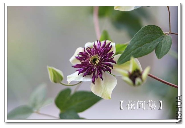 IMG_9608 ����.jpg