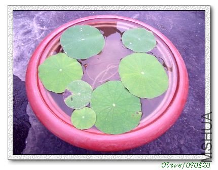 ����һֱһֱˮ���Ǻ����ģ����˻��˲�֪�����ٴ�ˮ�ˣ��������꣬���ڱ����ˡ�