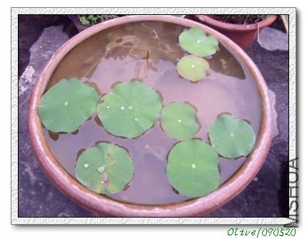 ԭ�����ŵ�������ֻ��һ���ˣ��о�������ï���ˣ���Ƭ���ˣ�sorry!