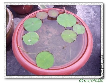 ��������裬�ҿɰ���һ�������㳤���ڴˣ��Ѿ�ѹ�����ﵱ�����ˡ�