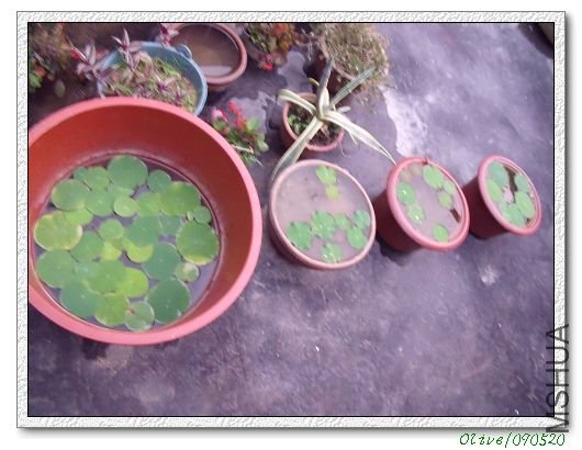 ����Բ����Ƭ���ˣ��Ǻ�