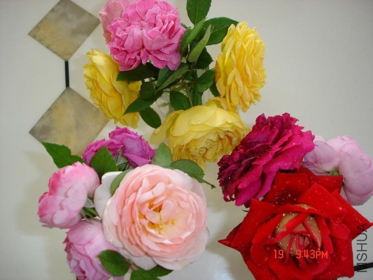 ��Ƭ09514 023.jpg