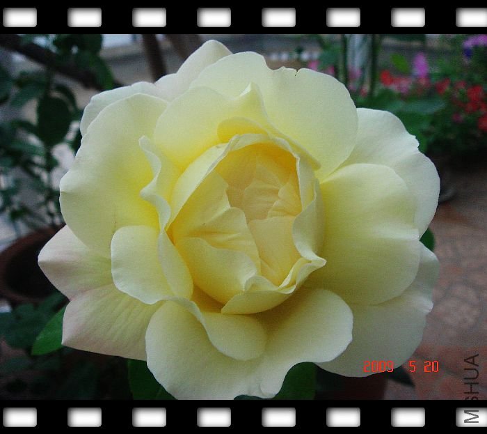 nEO_IMG_DSC00059.jpg