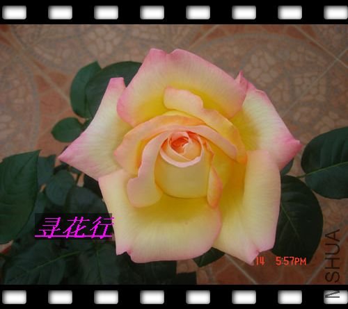 nEO_IMG_�¼�1.jpg