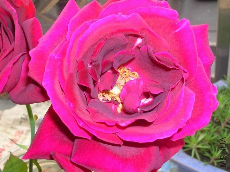 DSCN1343.JPG