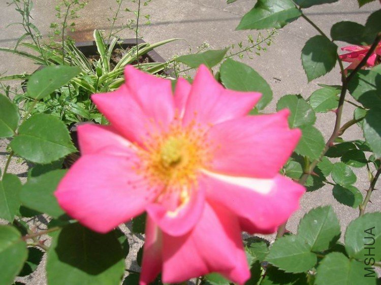 DSCN1314.JPG