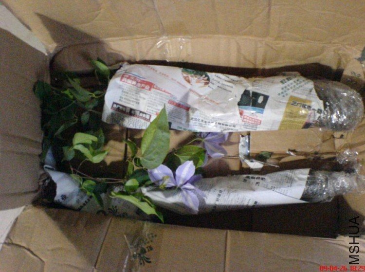 �������ʱ���Ļ���ǳ��ɫ