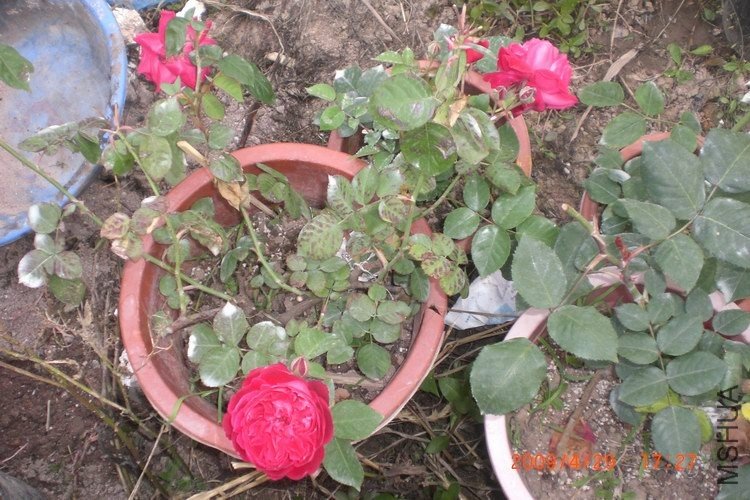 �����è�£����е����µ�