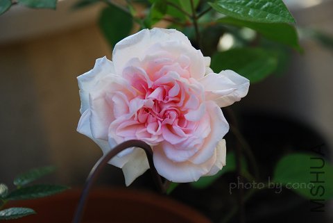nEO_IMG_DSC_0013.jpg