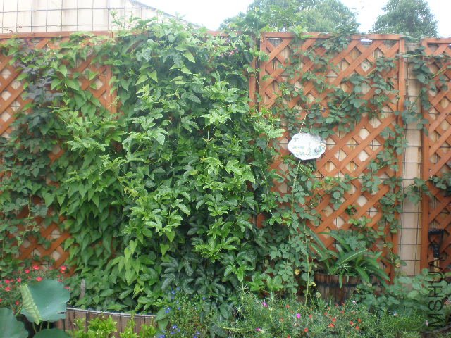 �Ե���������