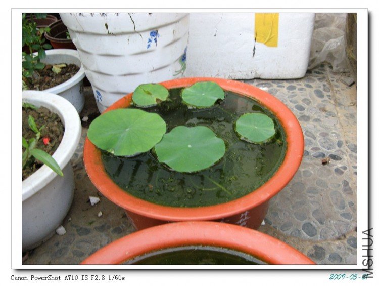 �������ĵ�ʱ���ֶ���һ��