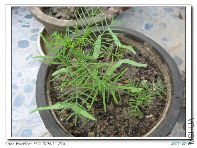 �������ƹ��������һ���������