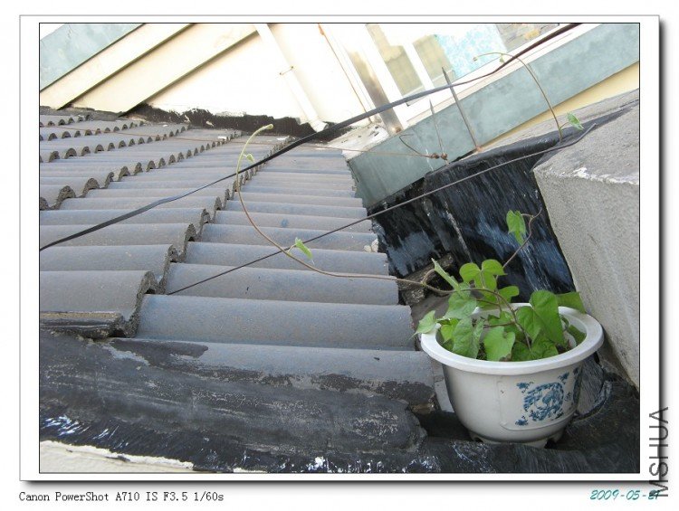 ���������Ϸ����������е�����