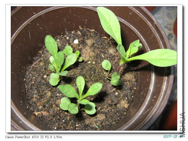 ���ֺ�㲻֪������ʲô�����ˣ��ȿ������ٿ��ɣ�����ܿ����Ļ���