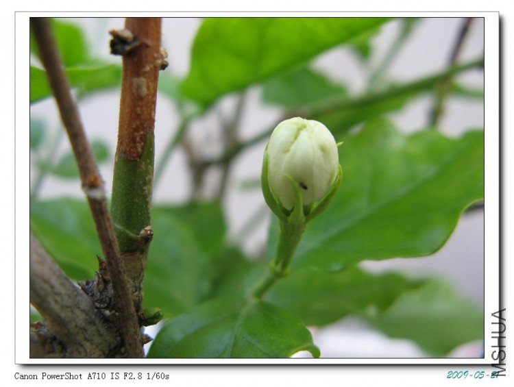 ����ĵ�һ������Ƕ䣬�����˿�С���룺��